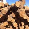 /product-detail/false-sandalwood-logs-62008676169.html