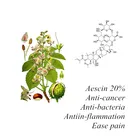 Natural horse chestnut plant extract