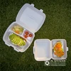 Al Bayader disposable thermo styrofoam foam lunch box HB9 foam food container from Dubai UAE