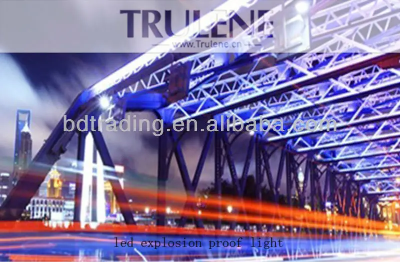 High Power Waterproof IP67 high lumen 10W 20W 30W 40W 50W Led WF2 Explosion Proof led flood light