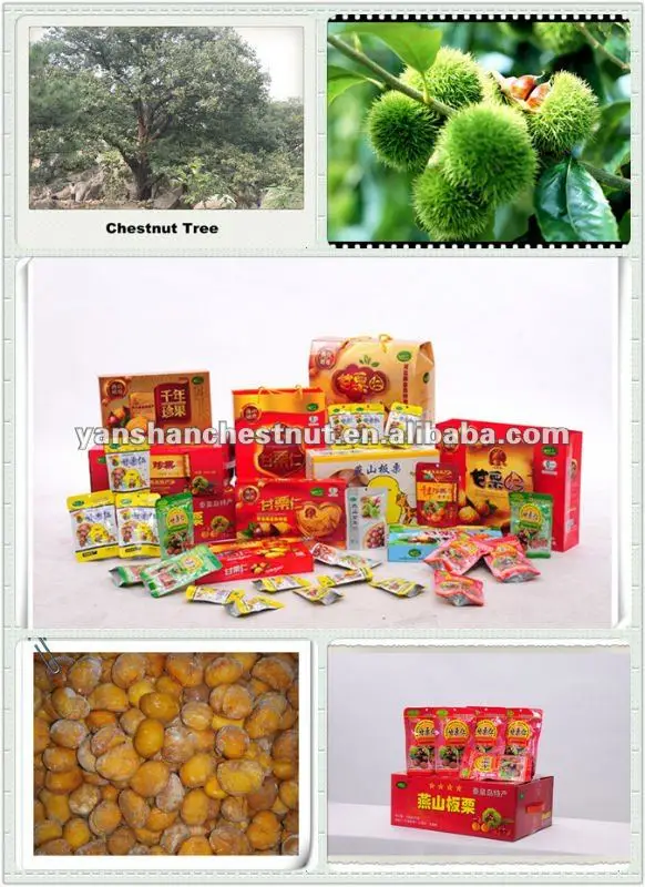 Chinese chestnuts sale