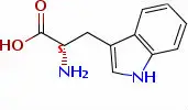 l-tryptophan 98% feed grade MS_.jpg