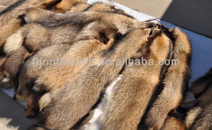 Natural Raccoon Dog Skin,Raccoon Dog Fur,Raccoon Dog Pelts - Buy