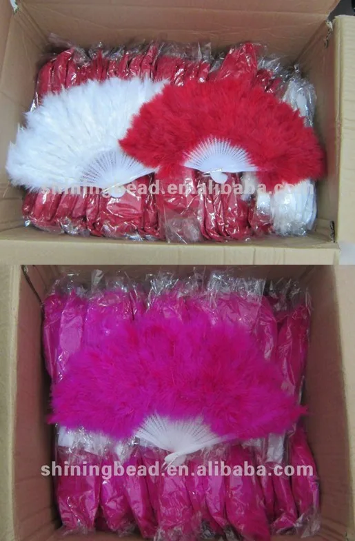 feather fan 2.jpg