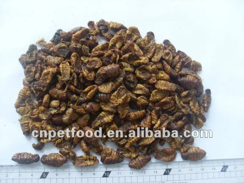 Dried insect food supplier of wild bird mealworms