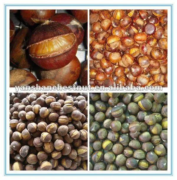 roasted chestnuts snack.jpg