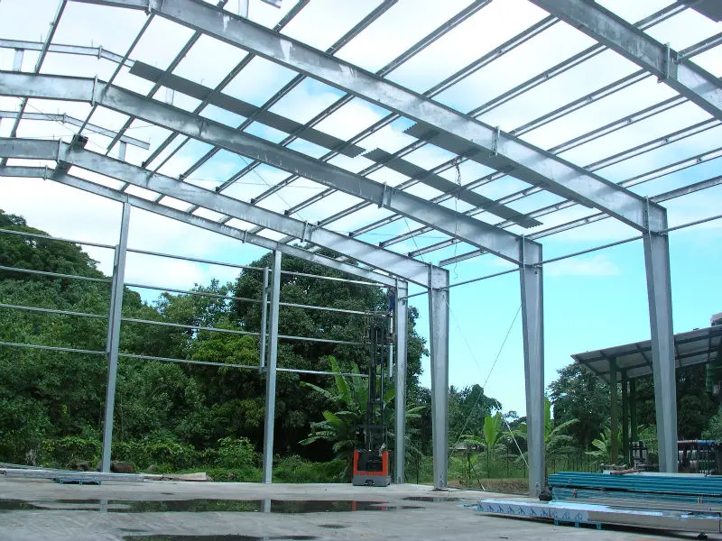 steel structure poultry shed / house