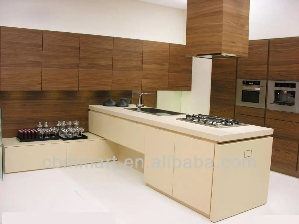 Flat Panel Kitchen Cabinet Under Cabinet Kitchen Appliances View