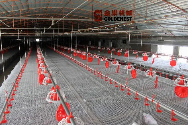 Automatic poultry equipment/chicken house equipment/ poultry house complete farming system