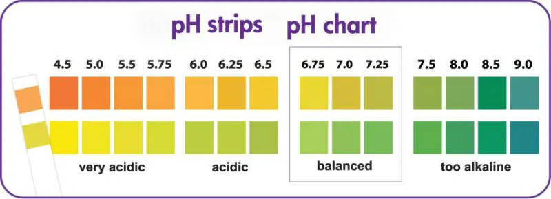 Ph Test Strips Color Chart
