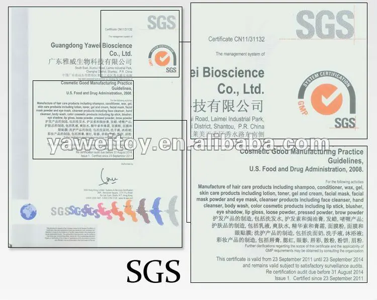 Certificate3