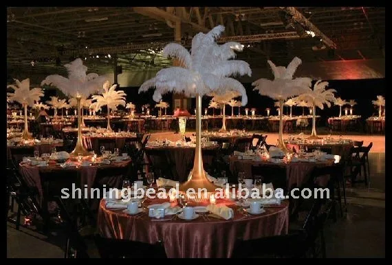 ostrich-feather-rental.jpg