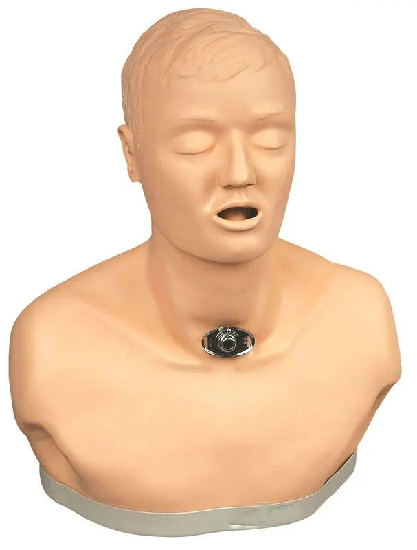 adult tracheotomy care model