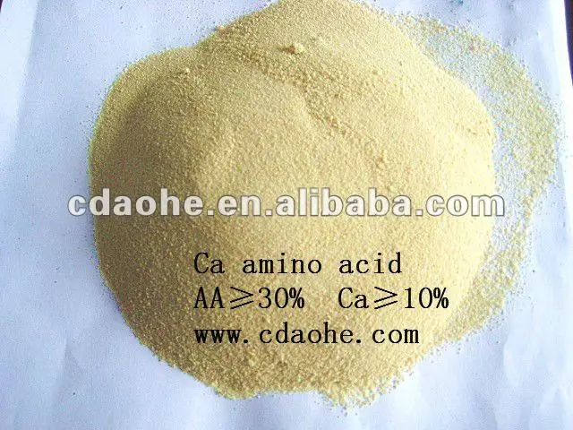 ca amino acid