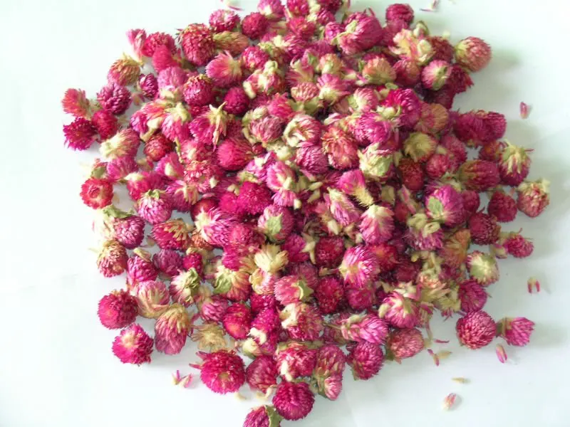 Chinese Herbal Tea Globe Amaranth Flower For Skin Beauty Natural Dried