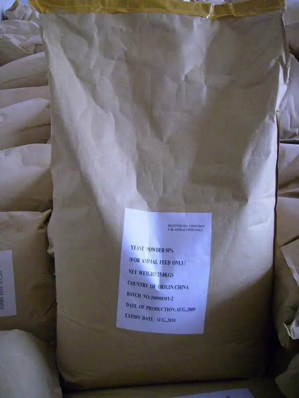 YP KF BAG.JPG