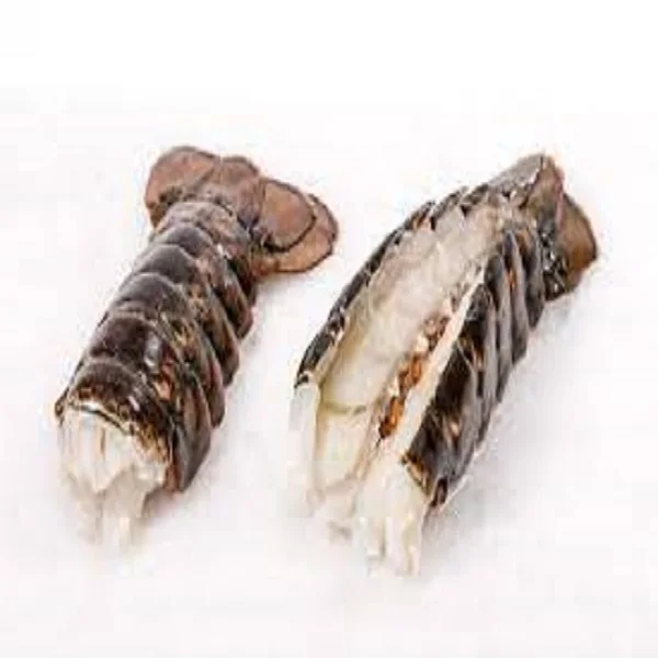 Fresh And Frozen Rock Lobster Tail Buy Frozen Lobster Tails For Sale