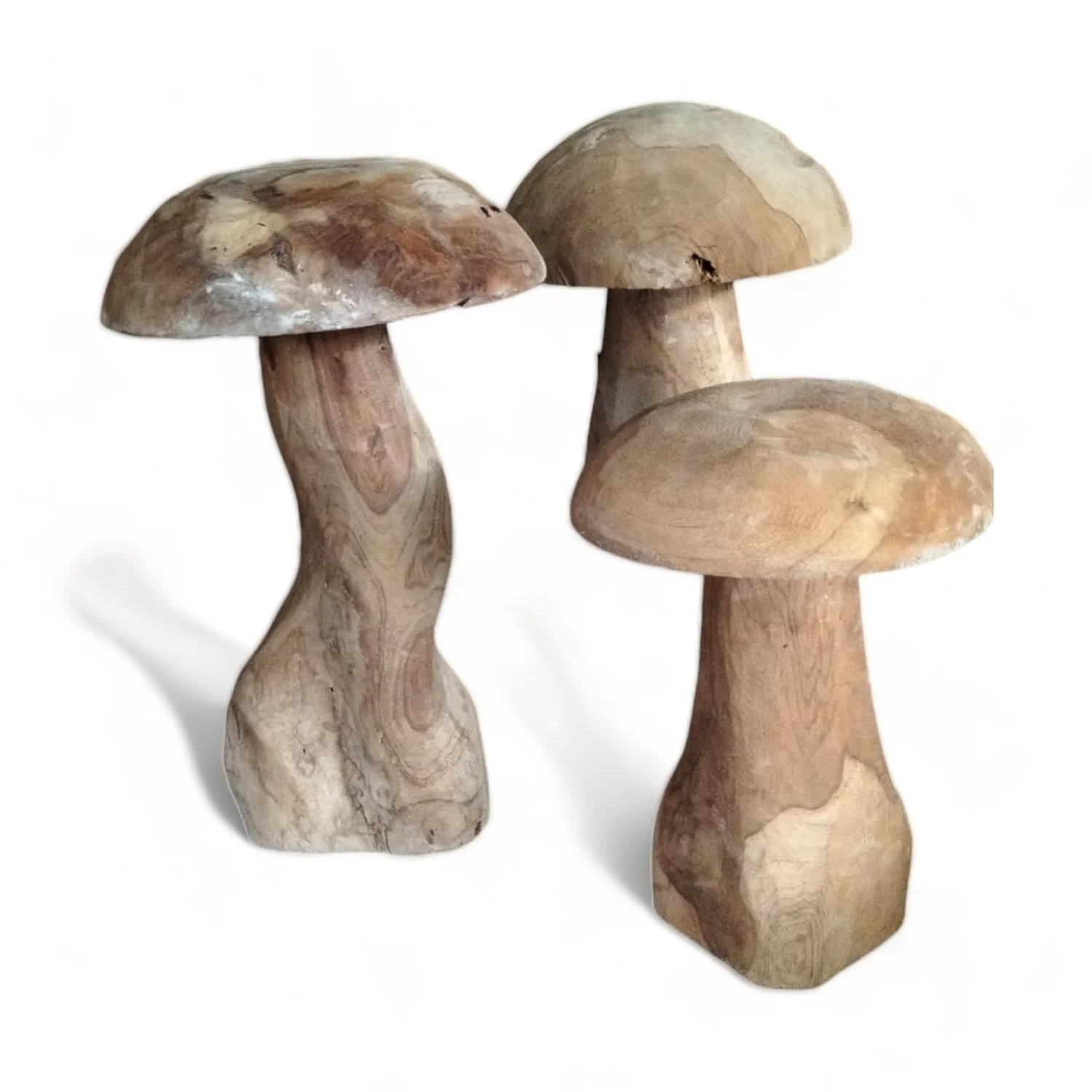 thumbnail image 2 of Java Teak Root Mushroom Table - Teak Root Furniture - Solid Teak Root Side Table - Mushroom Table 2 of 13