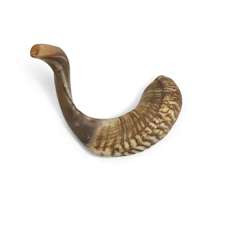 Jesish Instruments Kudu Horn Shofar - Natural Crafts Jewish Musical Instrument