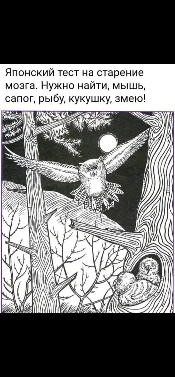 Японский тест сова. Японский тест на старение мозга. Японский тест мышь. Японские головоломки для мозга. Японский тест на старение мозга.