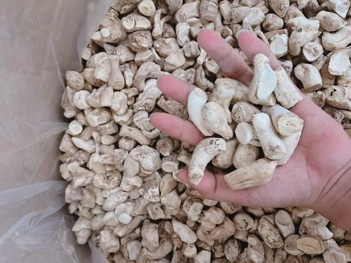 Wholesale Dried Shiitake Mushroom Prices Shiitake Mushroom Buy