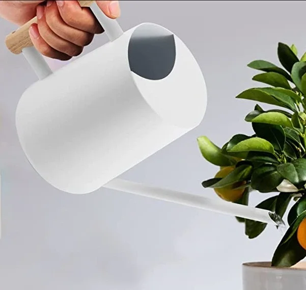 Metal Watering Can Indoor Plants Pot With Long Spout For House Plants Outdoor Garden Flower
