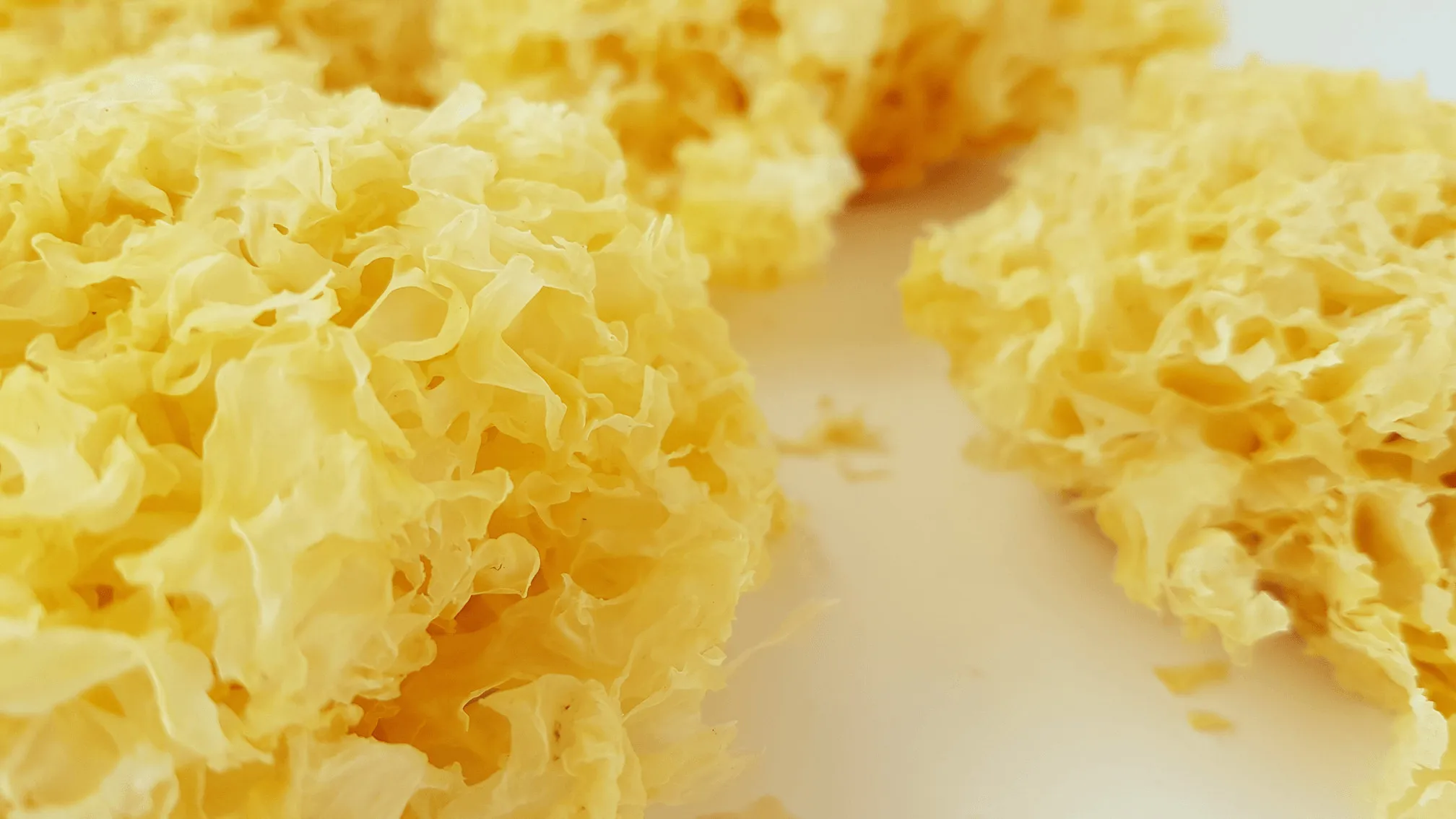 Dried White Back Wood Ear Mushroom For Making Soup With High Quality