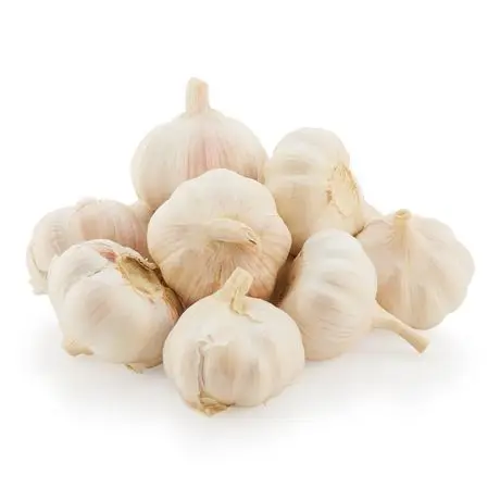 Organic Fresh Garlics (red And Pure White) Fresh Garlic White Garlic ...