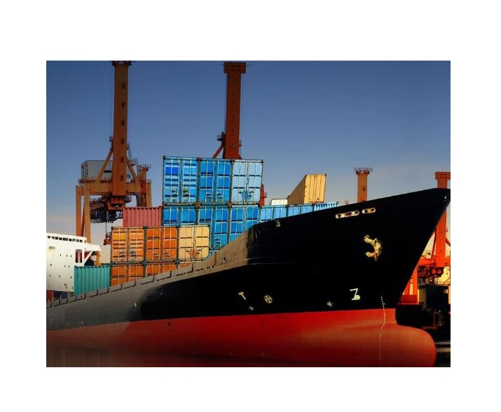 Best Selling International Sea Freight Agent Services Forwarder To