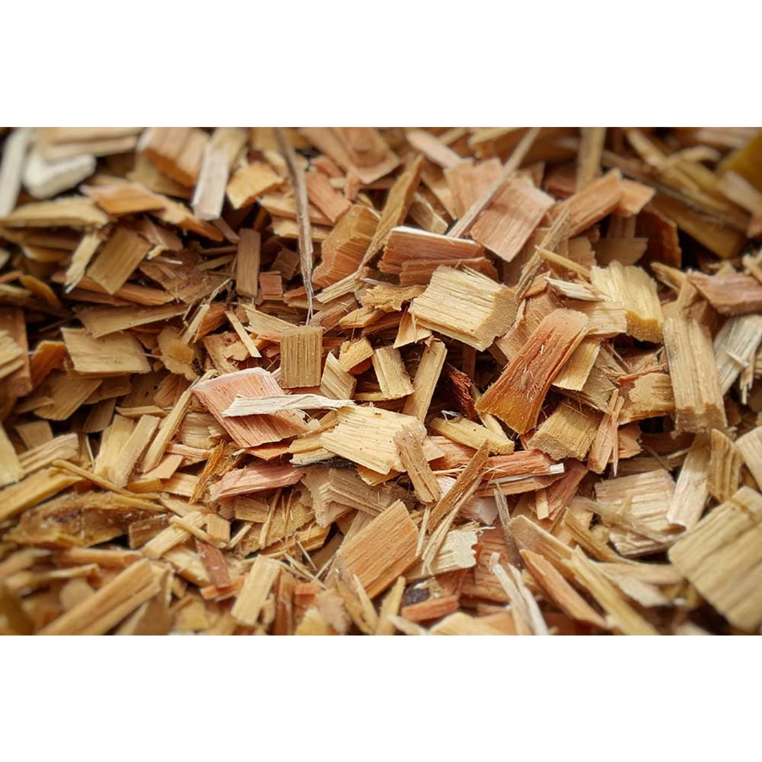 High Quality Eucalyptus/ Pine/ Acacia/ Rubber Wood Chips From Vietnam At Best Price Buy Wood