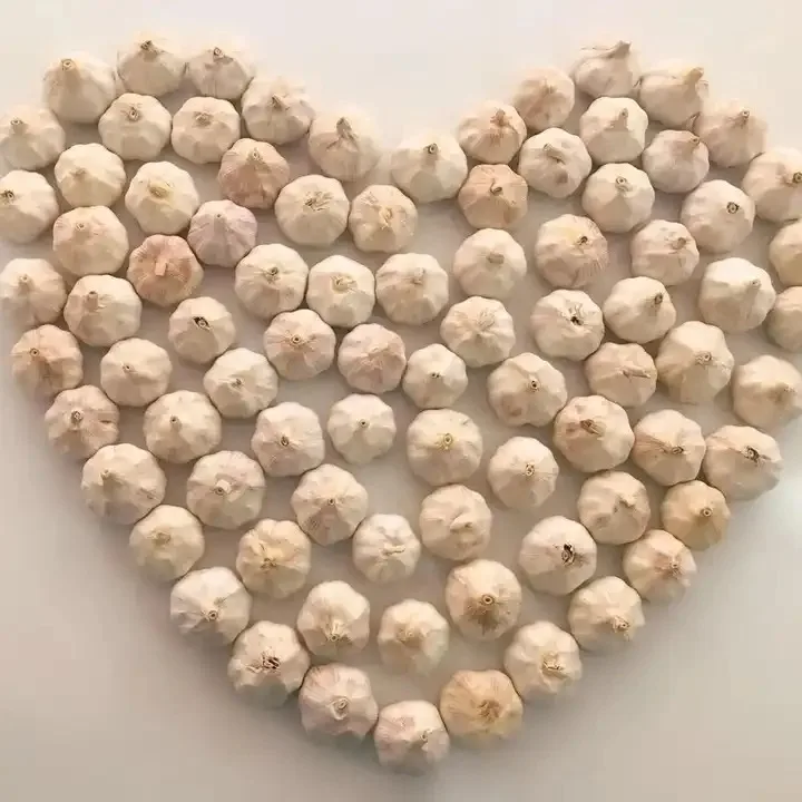 Fresh White Garlics,Dry Garlics Flakes And Crushed Buy Garlic Fresh