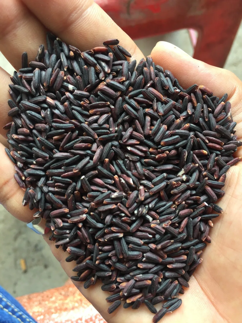 Black Healthy Vietnamese Original Jasmine Rice Mekong Delta Area With