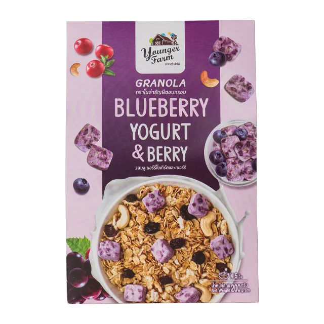 Premium Quality Granola Fruit 200g Blueberry Yogurt Healthy Cereal Baked Crunch Granola With