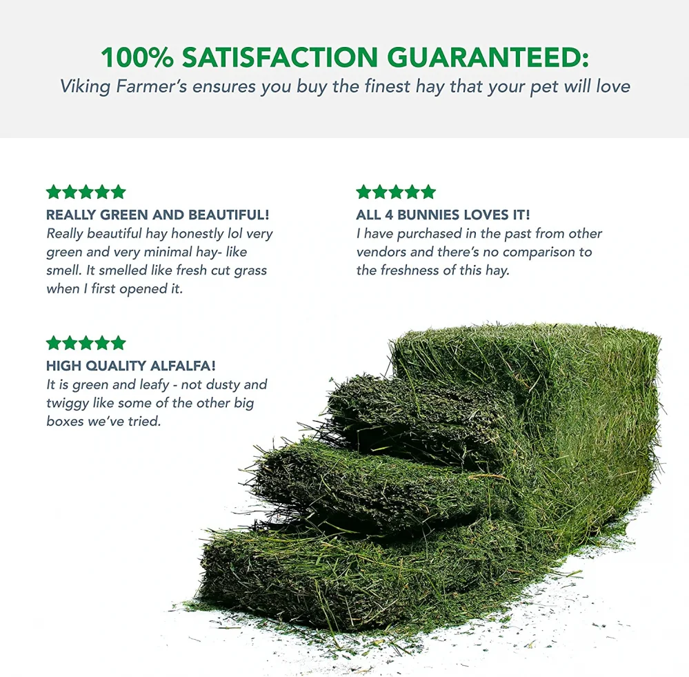 Alfalfa Hay Special Prices Only For Gulf Region And Arab Countries Premium Grade Aa Alfalfa Hay