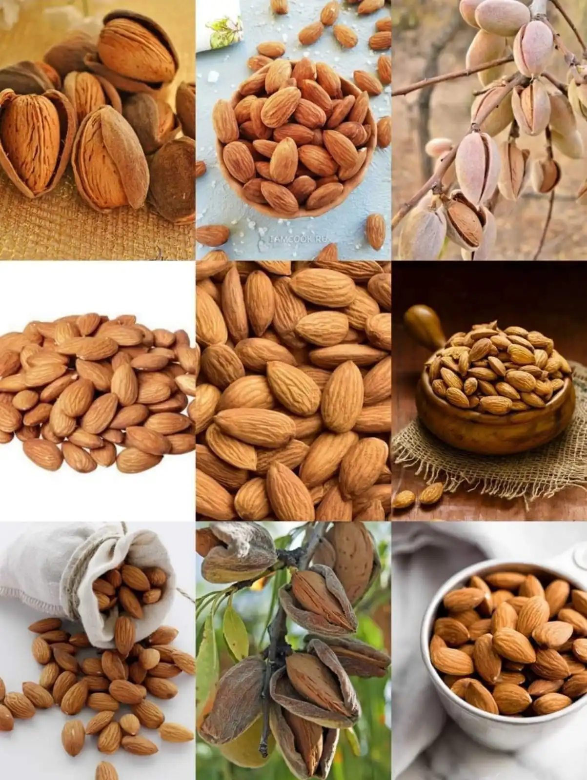 High Quality Badam Almond Nuts Raw Almonds Kernels/new Crop 100