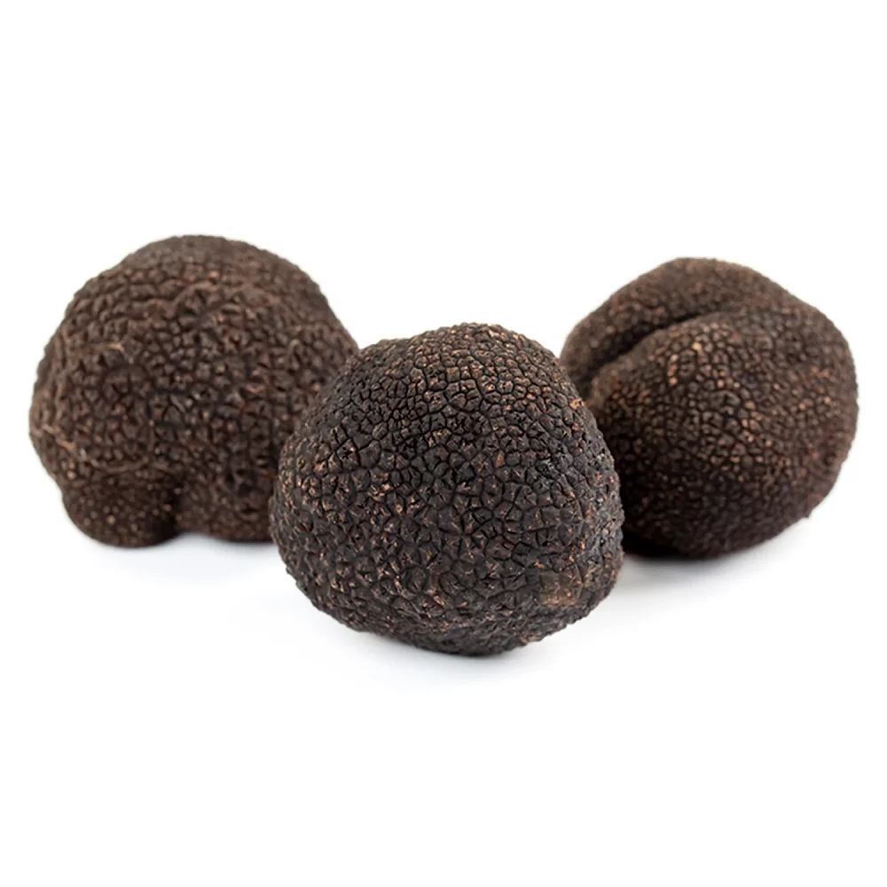 Buy High Quality Fresh Black Truffle,Fresh Black Italian Summer ...