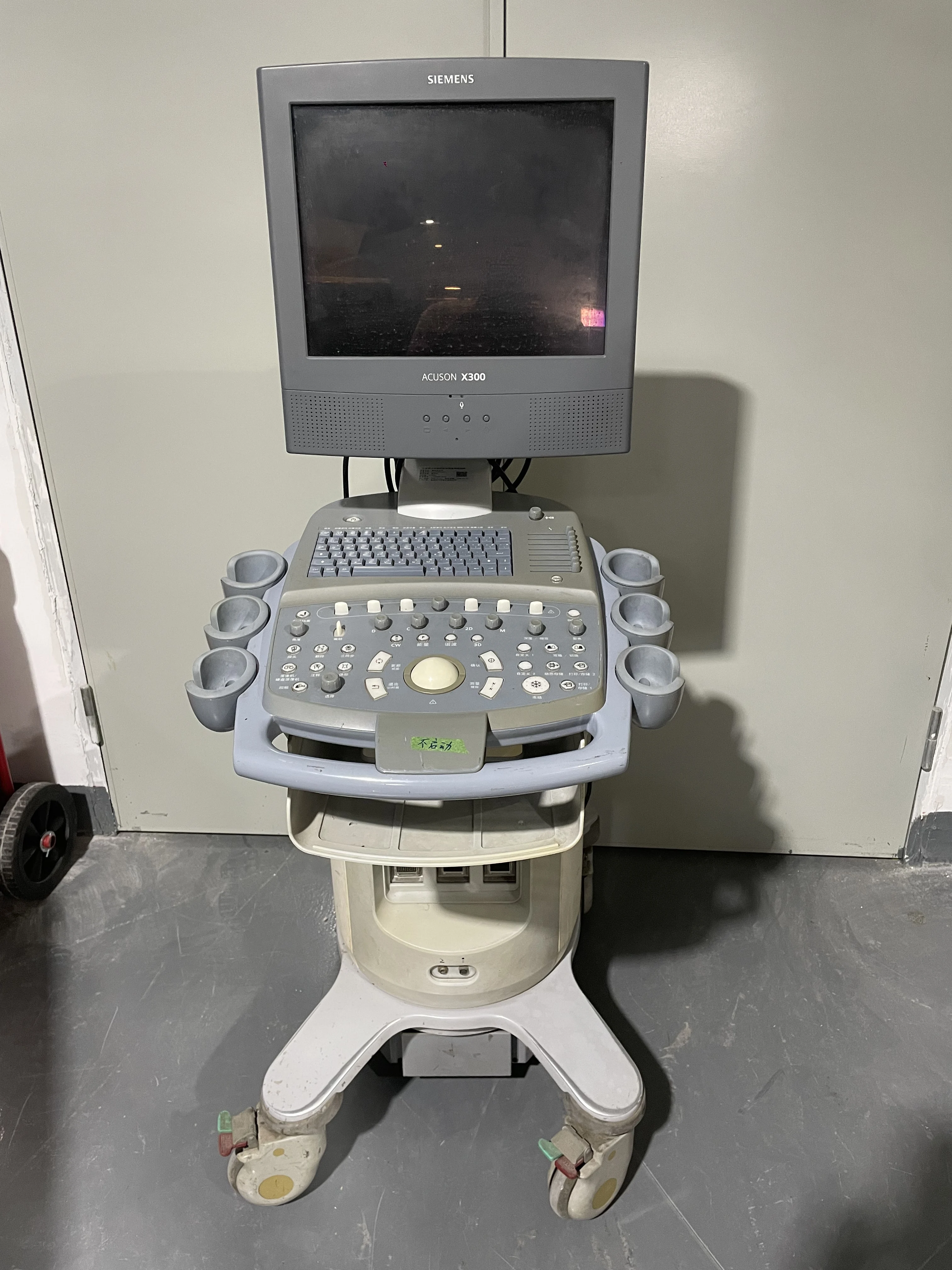 Siemens ACUSON X300 PE