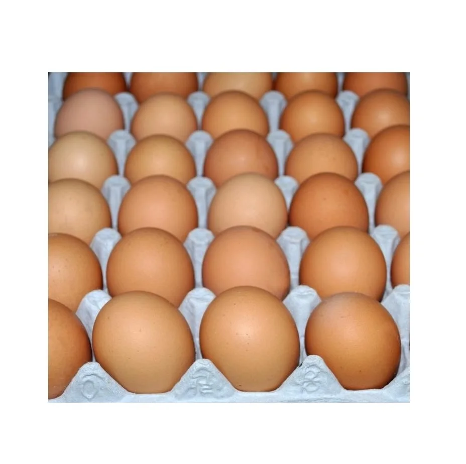 Hot Selling Price Of White / Brown Shell Fresh Table Chicken Eggs In