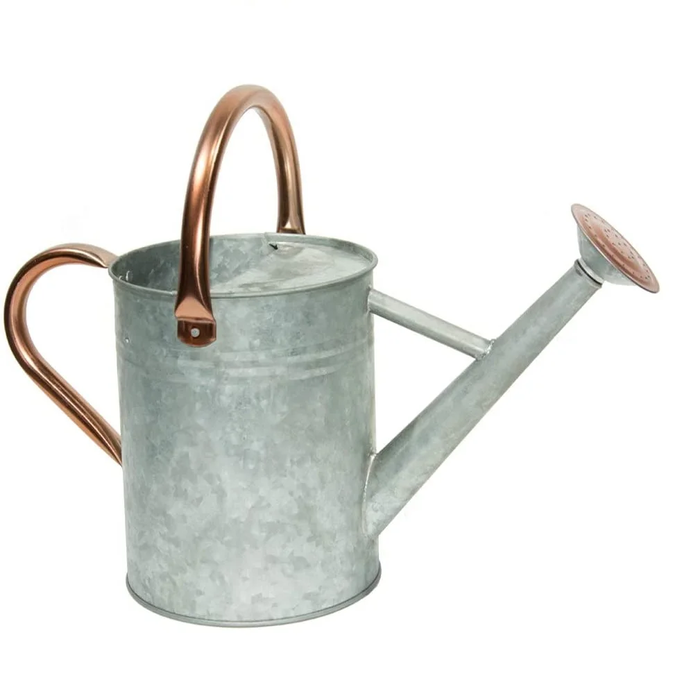 Multifunctional Green Powder Coated Watering Cane For Luxury Hotel