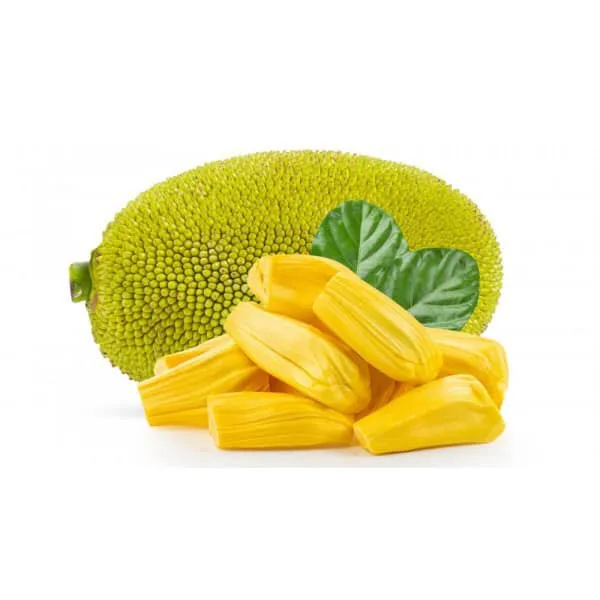 Price Of Jackfruit Whosale Frozen Jackfruit And Frozen Jackfruit Fresh