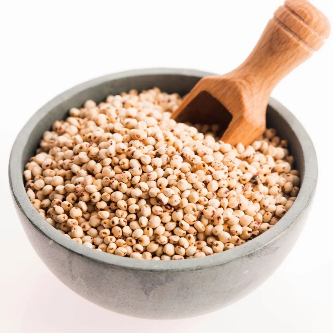 Customized Natural (jawar) Millet Wholesale Bulk Quantity
