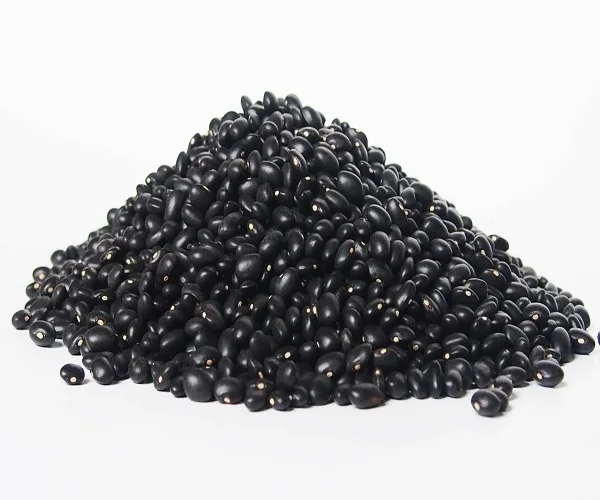 Premium Quality Black Kidney Beans\good Quality 400g Canned Black Beans