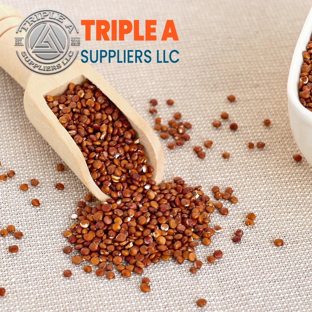 Premium Wholesale Bird Feed Seeds Origin Yellow Millet Max Style Color