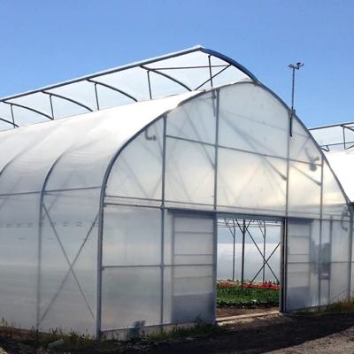 Greenhouse Film Vegetables And Fruits Plant Uv Blocking Pe 200 Micron ...