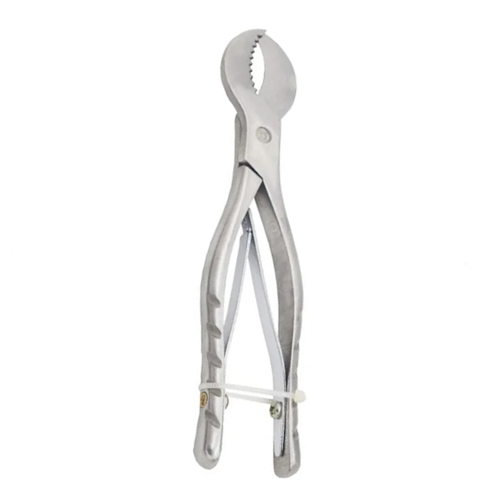 Dental Gypsum Scissors Plaster Shears Big Gypsum Shear Plaster Scissors