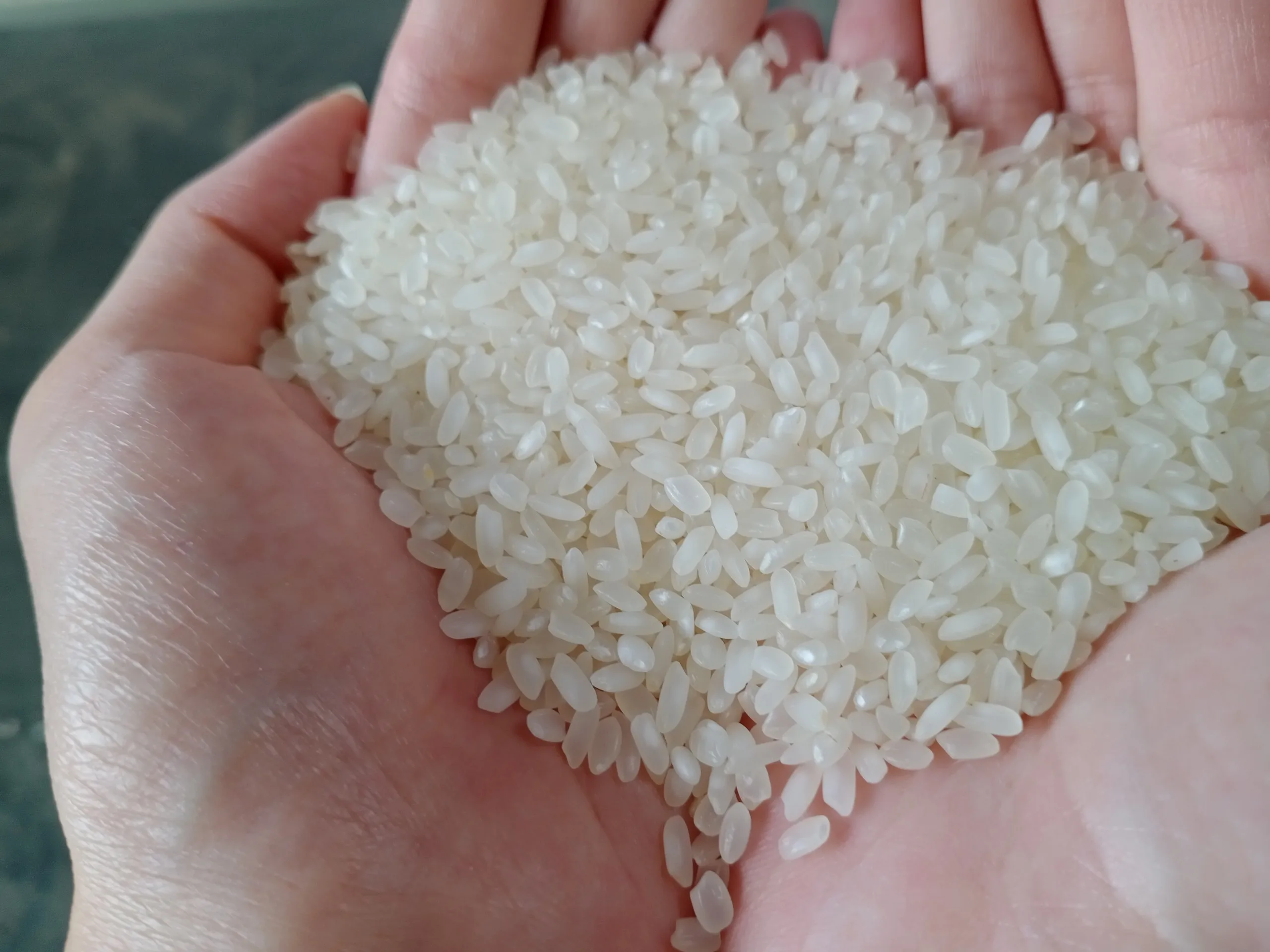 Vietnamese Calrose Rice With Eu America Standard Serving Gourmet Supply Chain Ws +84 796