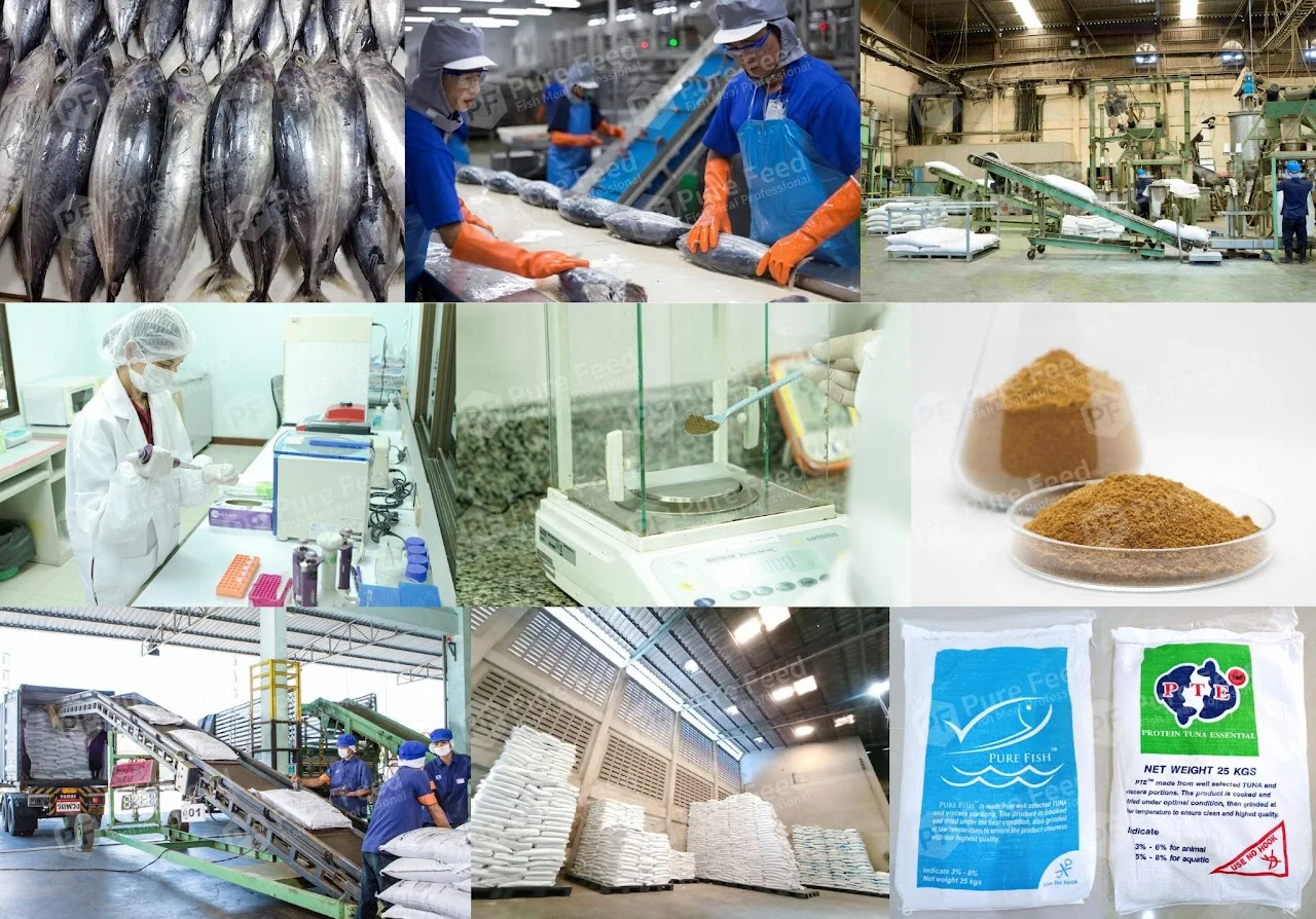 Protein Tuna Protein Tuna Essential Pet Protein Farm Agriculture Feed