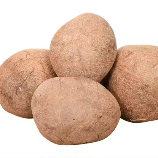 Premium Grade Dry Copra Available At Low Price For Export From India