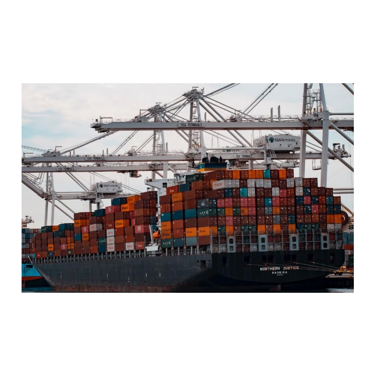 Cost Effective Sea Freight Services Lower Ocean Shipping Rates Price