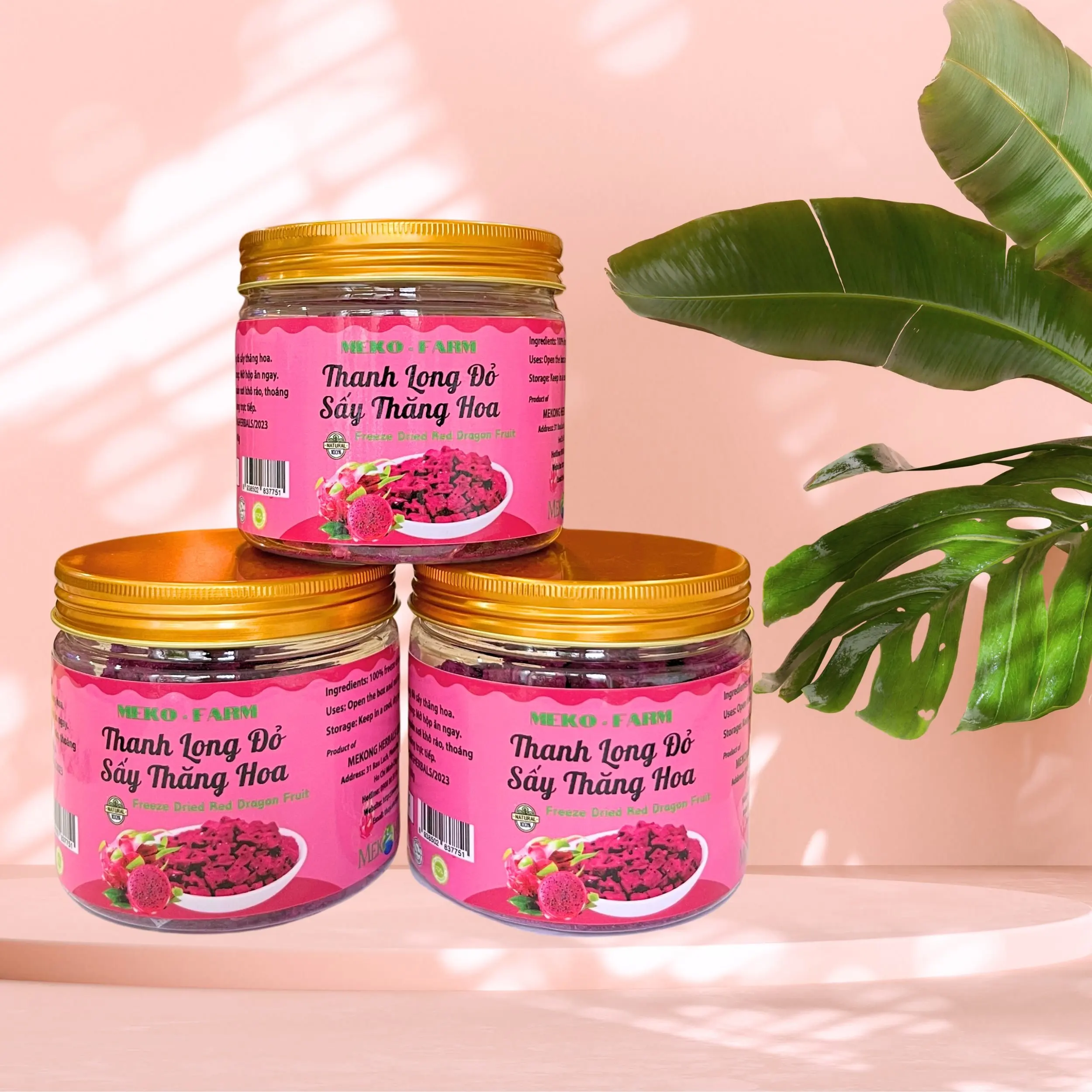 Freeze Dried Red Dragon Fruit / Pitaya Fd / Freeze Dried Red Dragon